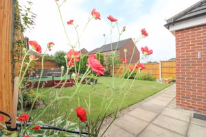 Photo 20- click for photo gallery